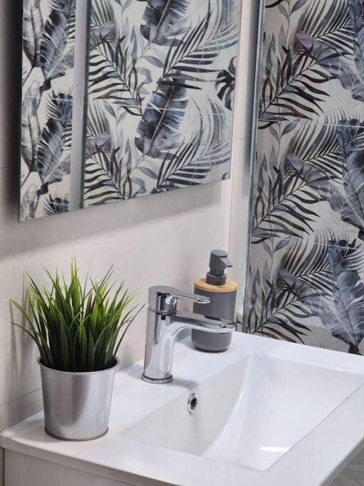 Piso De Diseno Elche Apartment Bagian luar foto