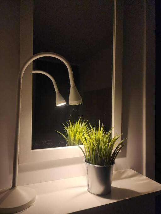 Piso De Diseno Elche Apartment Bagian luar foto