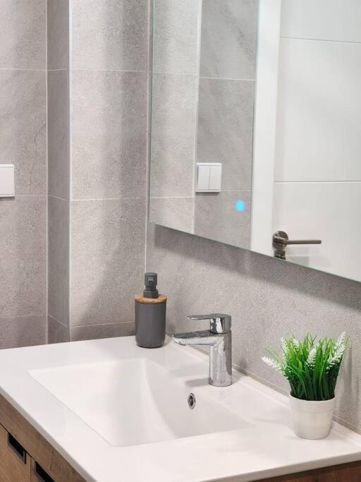 Piso De Diseno Elche Apartment Bagian luar foto